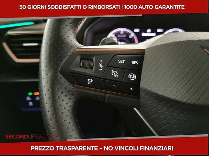 Cupra Formentor usata a Chieti (10)