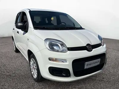 Fiat Panda 1.2 Easy del 2018 usata a Empoli