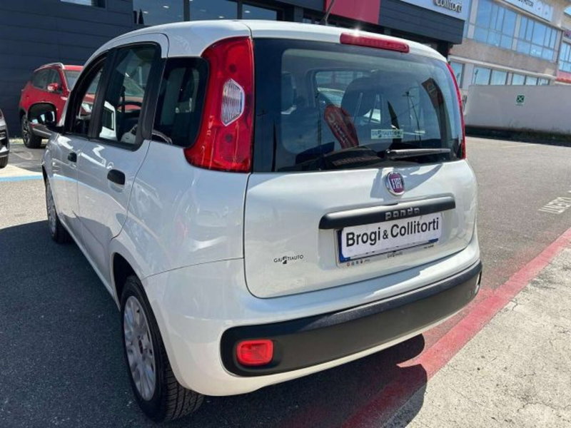 Fiat Panda usata a Firenze (6)