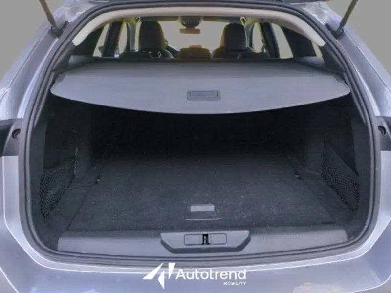 Peugeot 308 SW usata a Bari (18)