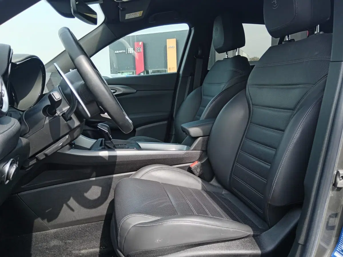 Alfa Romeo Tonale usata a Alessandria (13)