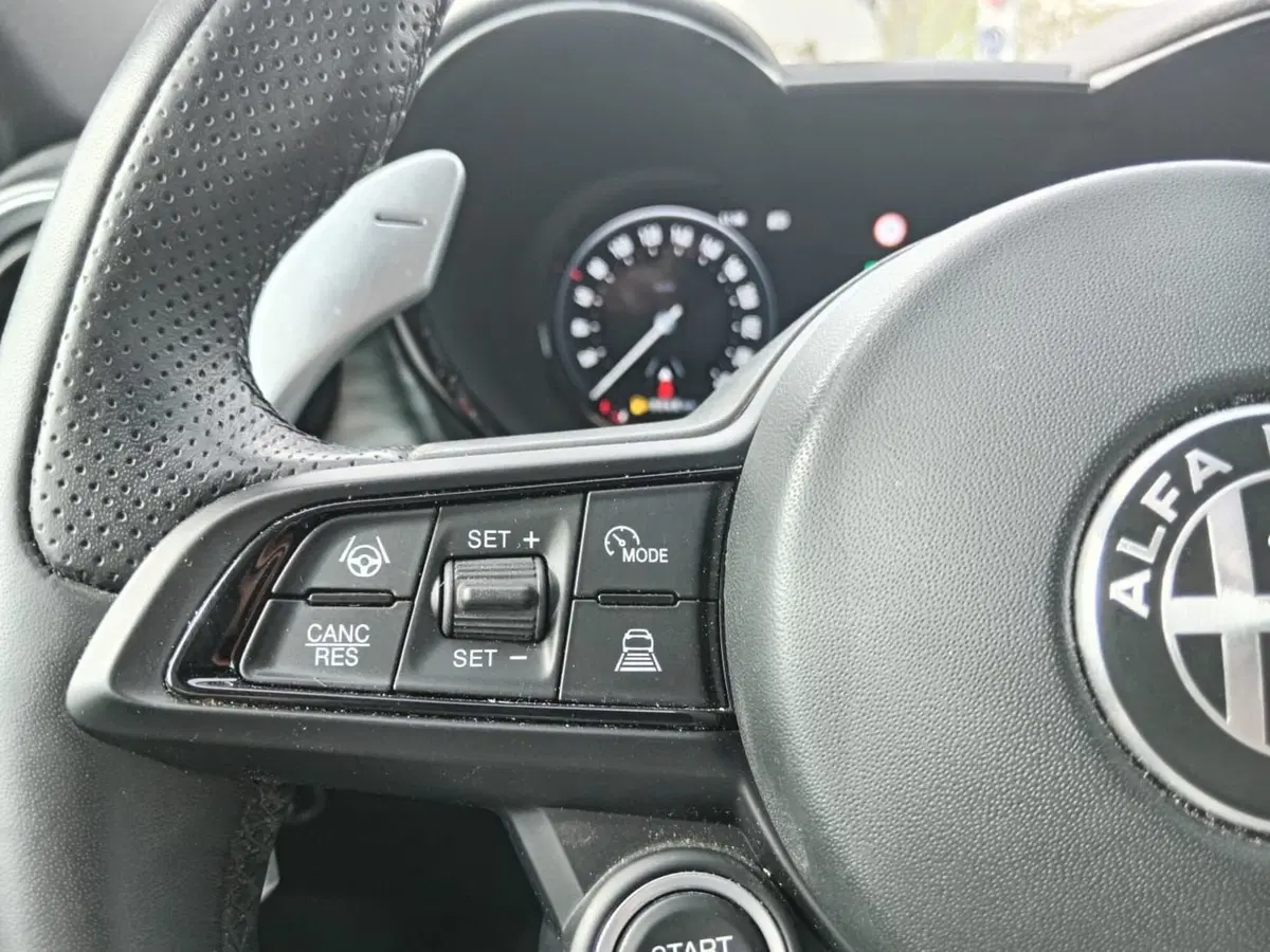 Alfa Romeo Tonale usata a Alessandria (19)