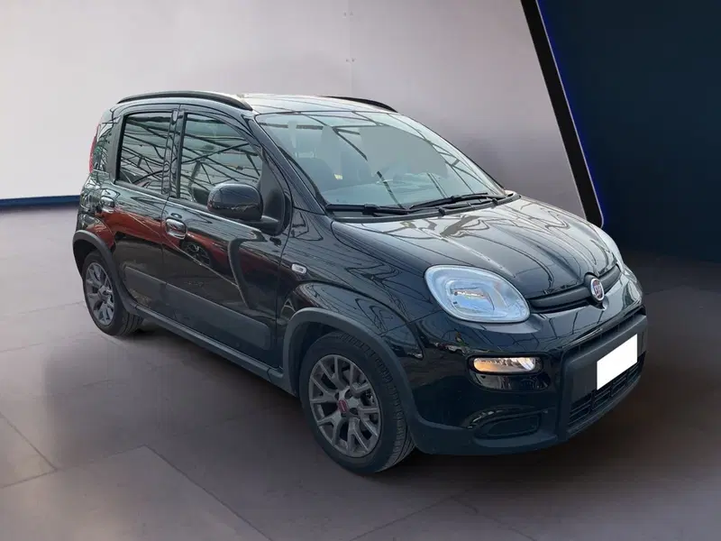Fiat Panda usata a Torino (3)