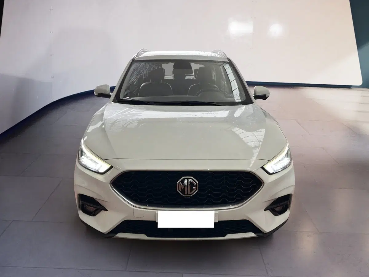 Mg ZS usata a Torino