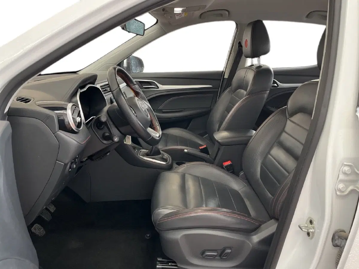 Mg ZS usata a Torino (10)