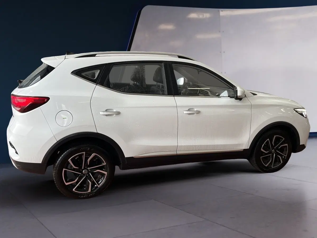 Mg ZS usata a Torino (4)