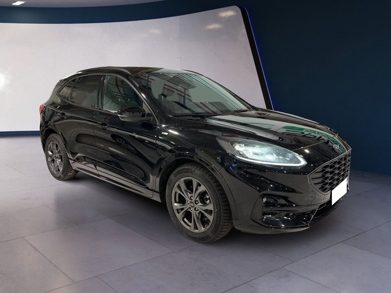 Ford Kuga usata a Torino (2)