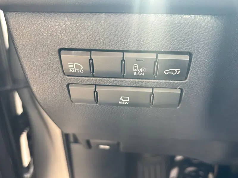 Lexus NX usata a Bologna (19)