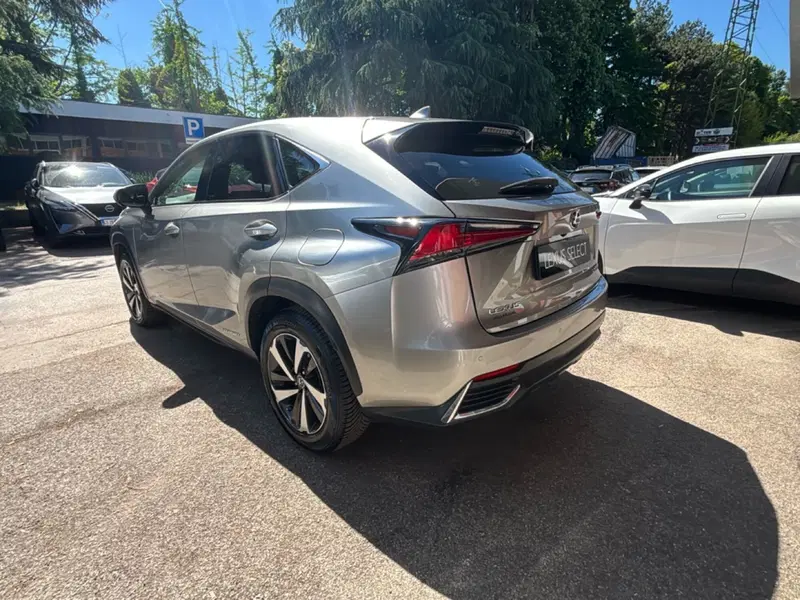 Lexus NX usata a Bologna (5)