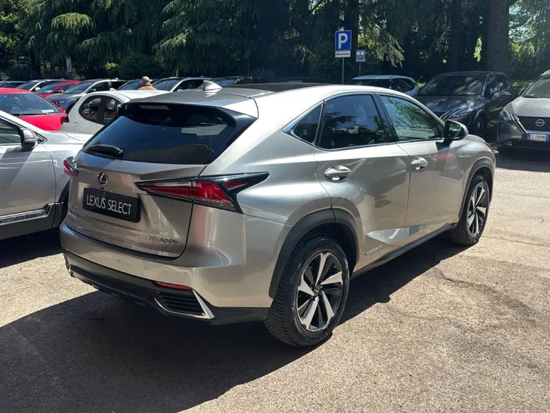 Lexus NX usata a Bologna (6)