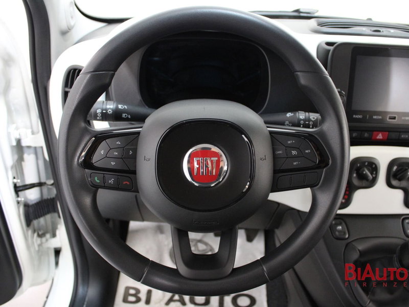 Fiat Panda Cross usata a Firenze (10)