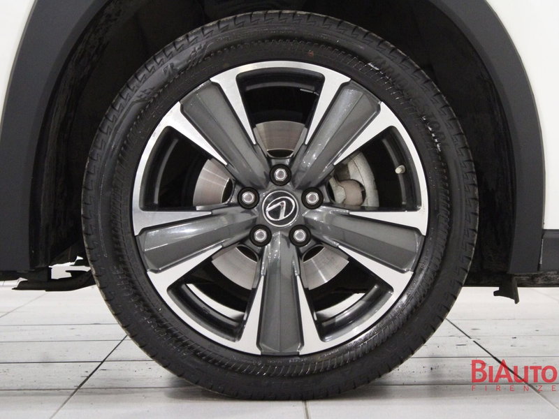 Lexus UX usata a Firenze (20)