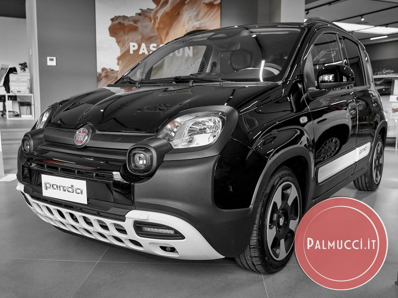 Fiat Pandina nuova a Prato