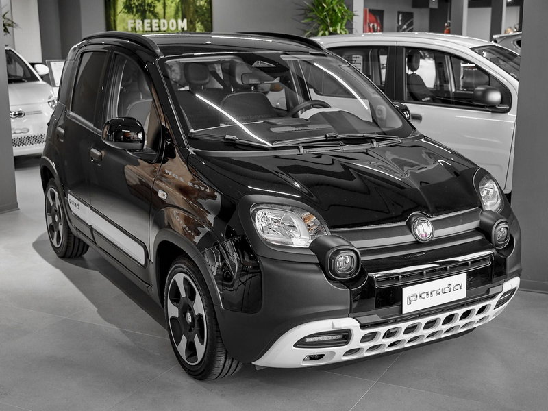 Fiat Pandina nuova a Prato (2)
