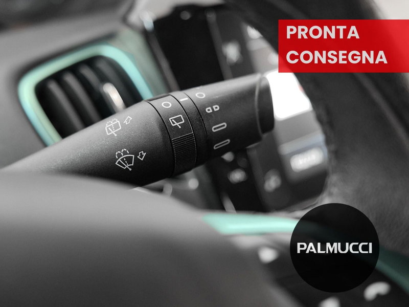 Lancia Ypsilon usata a Prato (15)