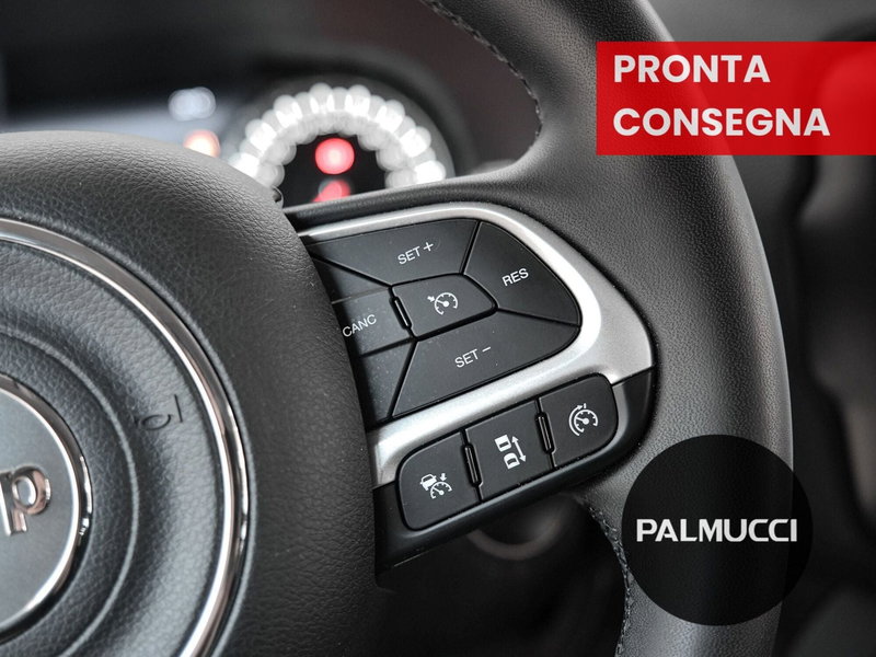 Jeep Renegade usata a Prato (12)