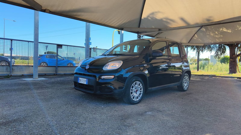 Fiat Panda usata a Firenze