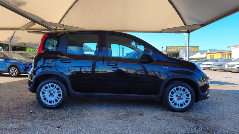 Fiat Panda usata a Firenze (10)