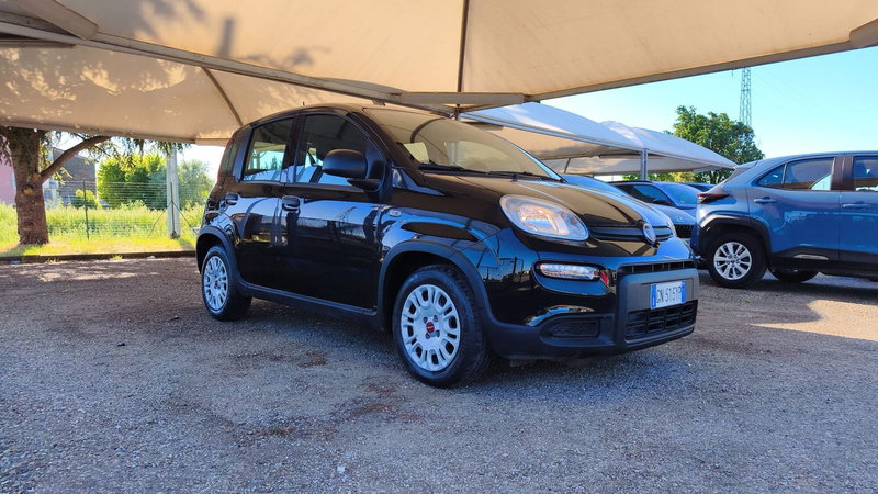 Fiat Panda usata a Firenze (13)