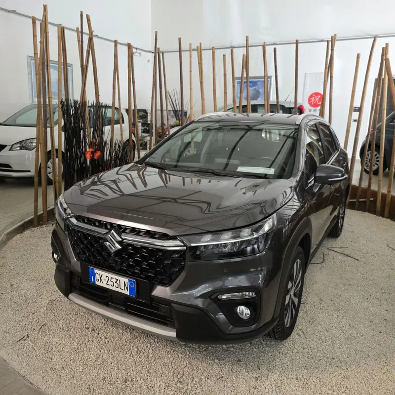 Suzuki S-Cross usata a Catania