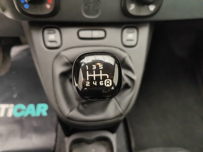 Fiat Panda Cross usata a Como (18)