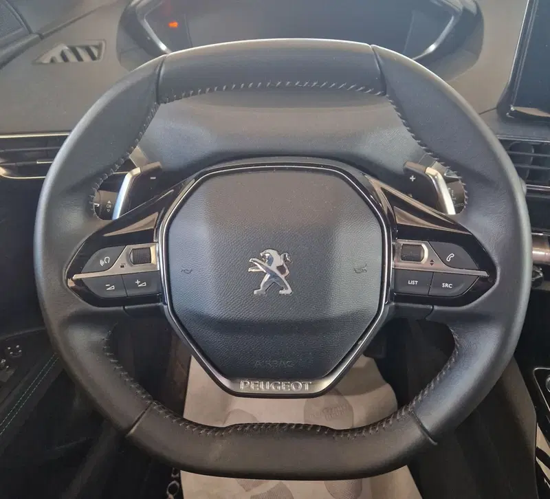 Peugeot 3008 usata a Terni (12)