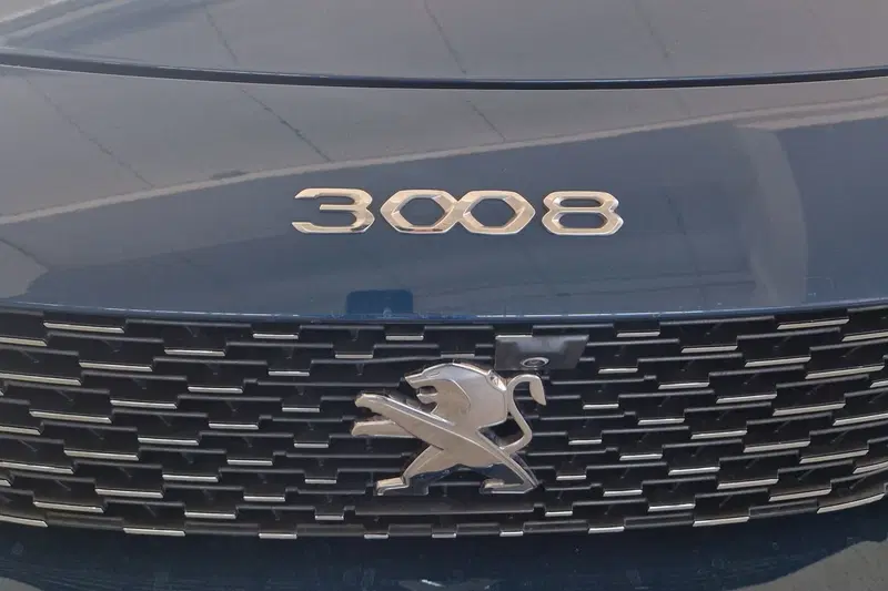 Peugeot 3008 usata a Terni (20)
