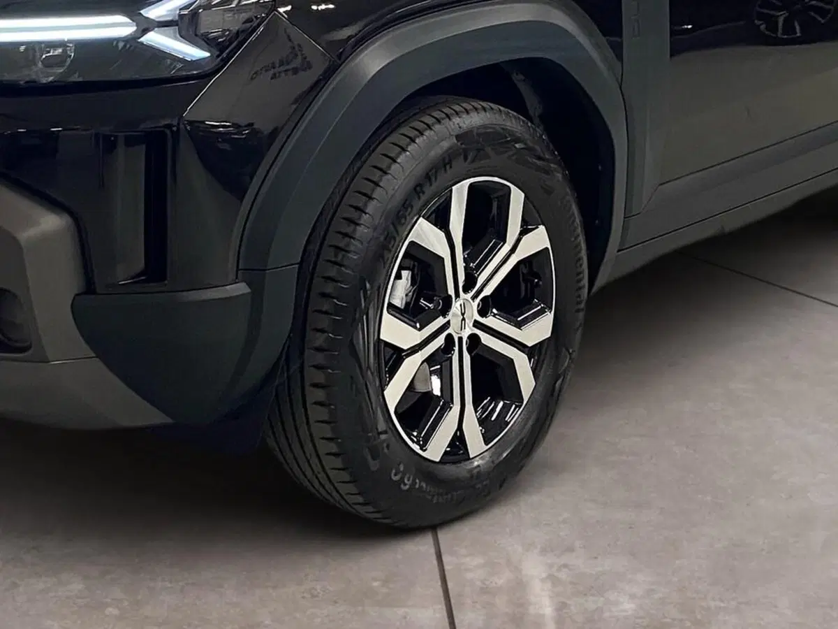 Dacia Duster Van usata a Torino (15)