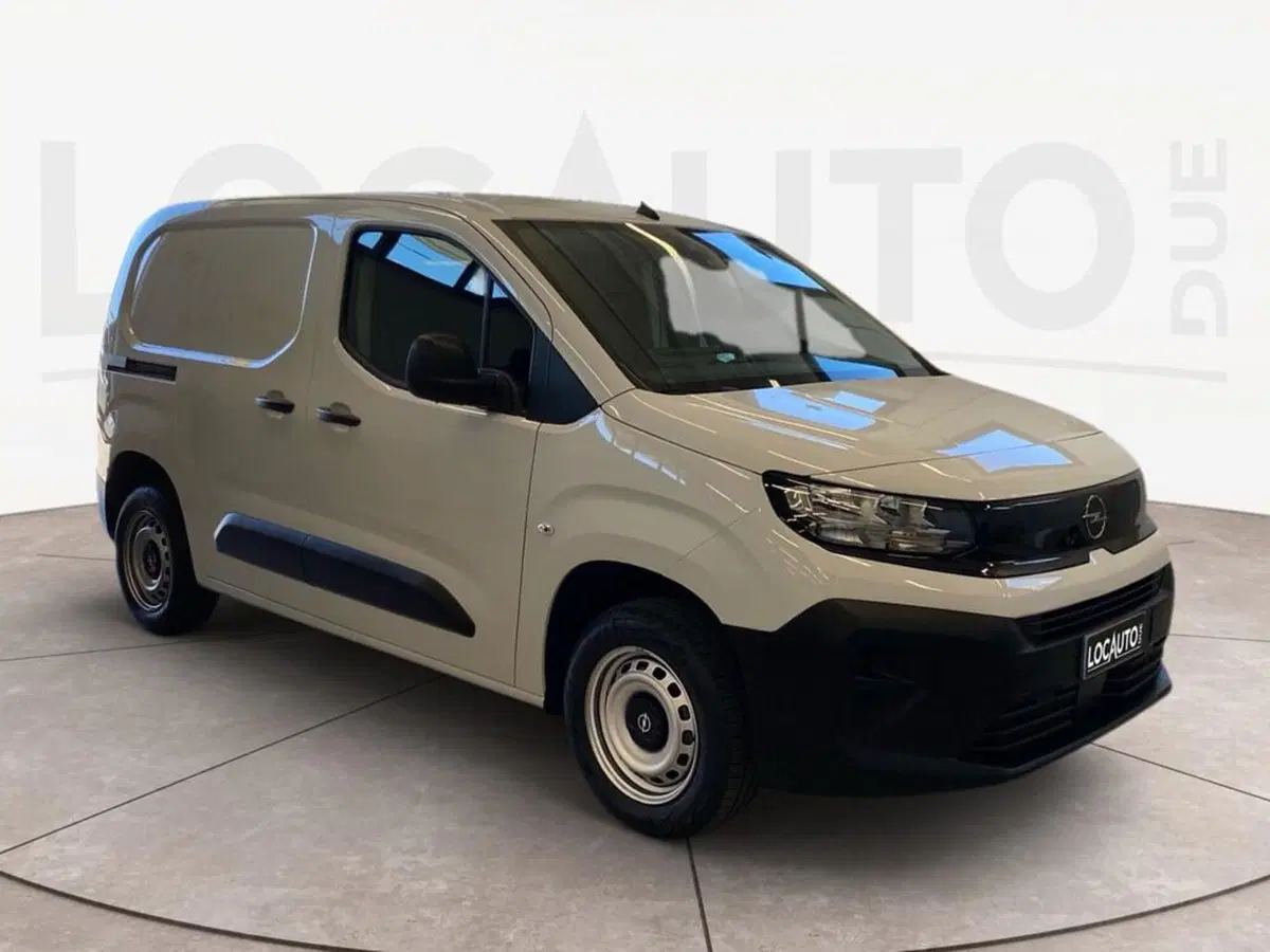 Opel Combo Furgone usata a Torino (3)