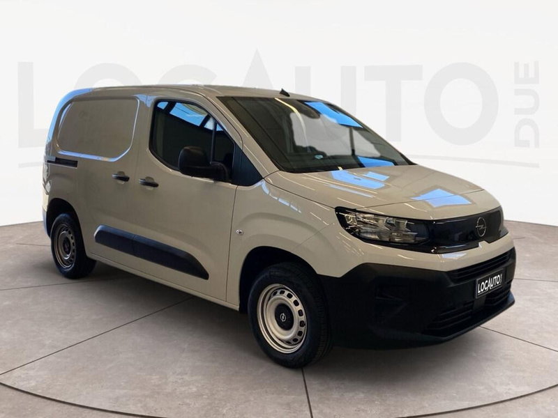 Opel Combo Furgone usata a Torino (3)