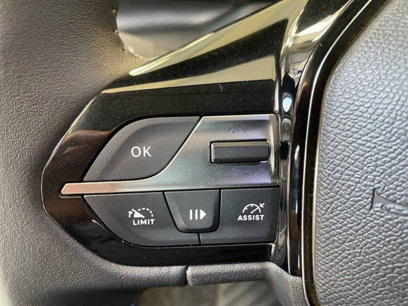 Peugeot 308 usata a Torino (12)