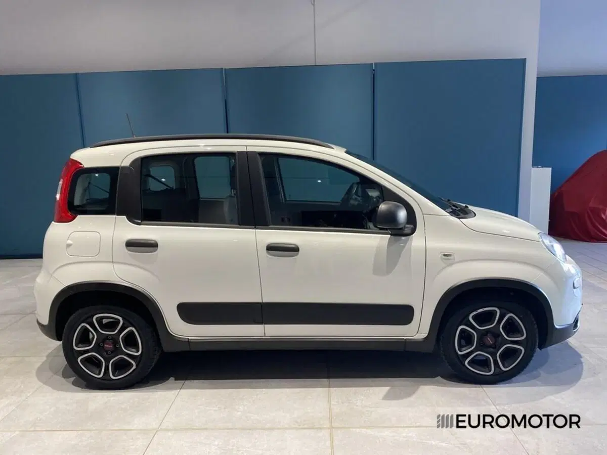 Fiat Panda usata a Bari (4)