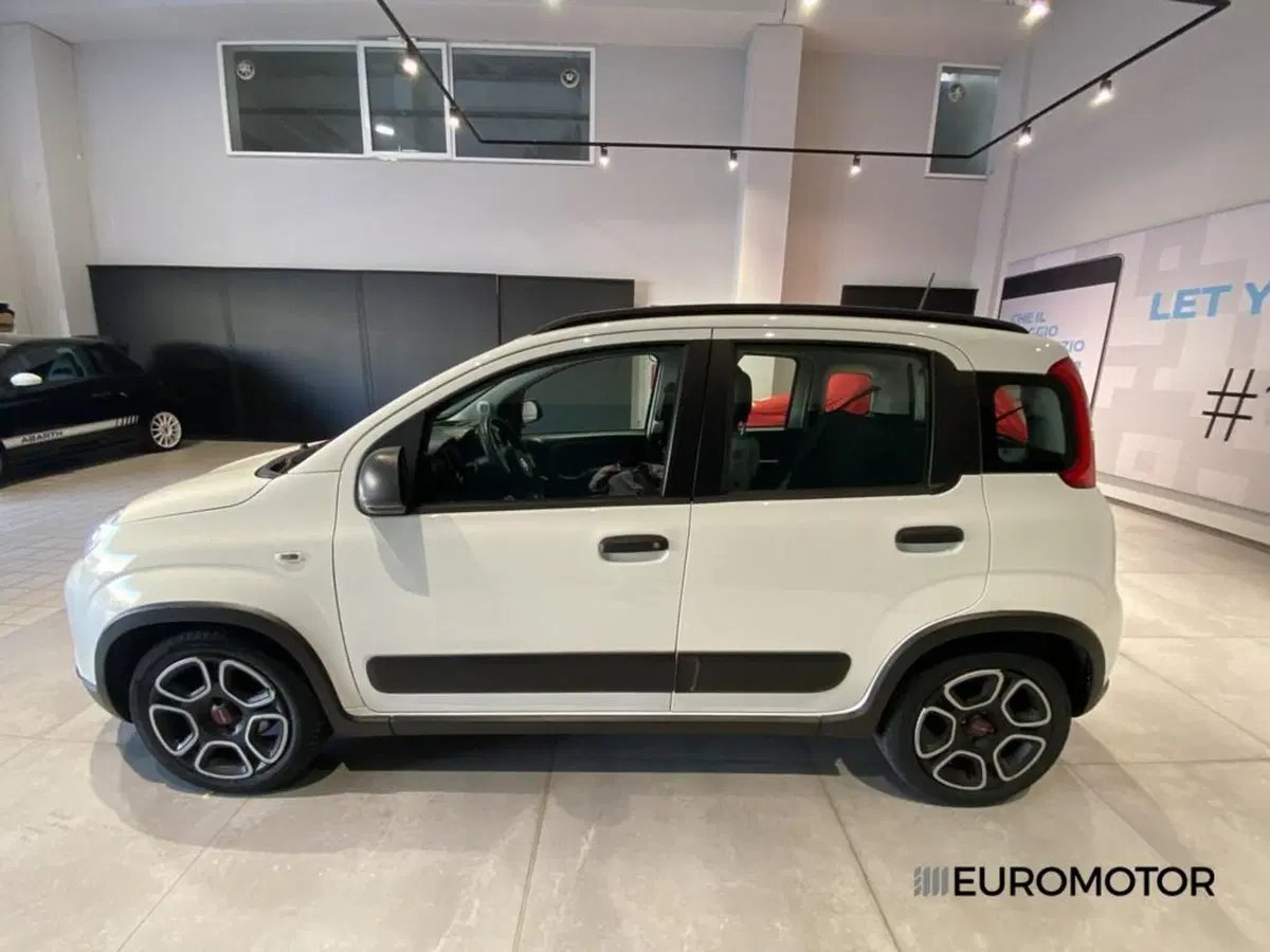 Fiat Panda usata a Bari (9)