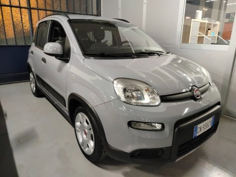 Fiat Panda usata a Forlì-Cesena