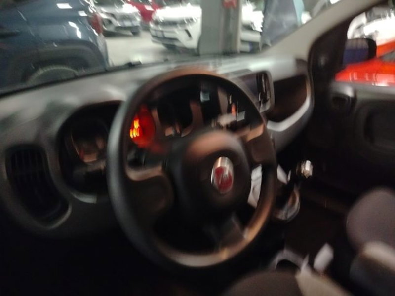 Fiat Panda usata a Forlì-Cesena (16)