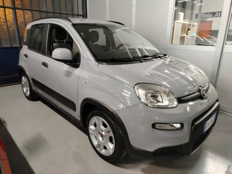 Fiat Panda usata a Forlì-Cesena (3)