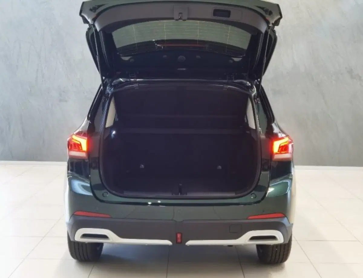 Mg ZS nuova a Modena (12)