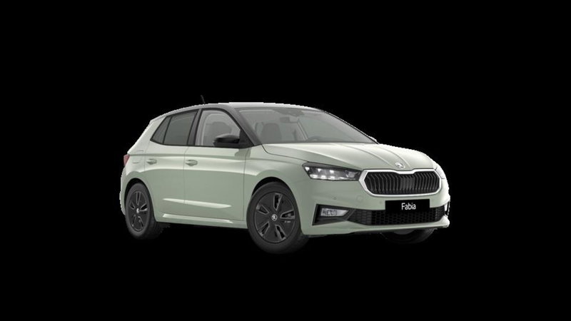 Skoda Fabia nuova a Padova