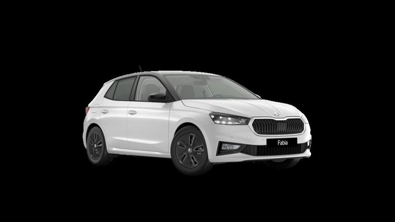 Skoda Fabia nuova a Padova