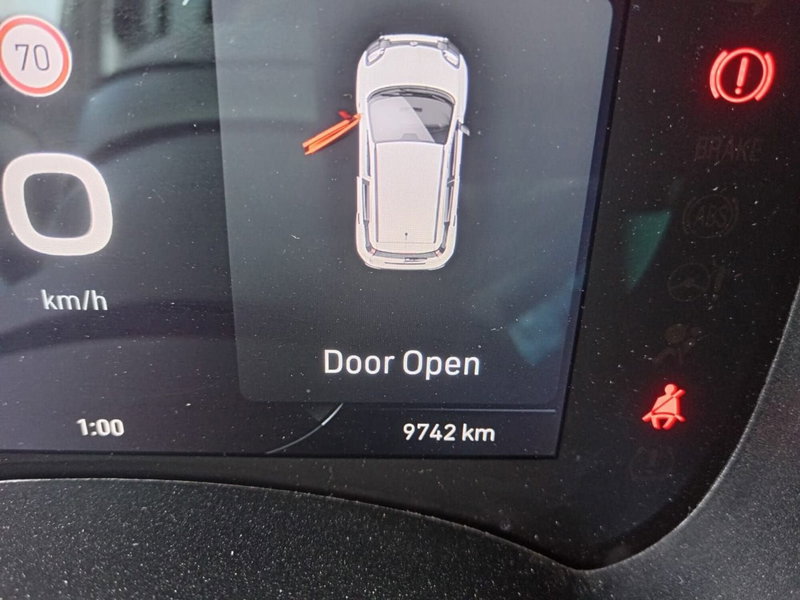 Fiat Panda Cross usata a Alessandria (15)