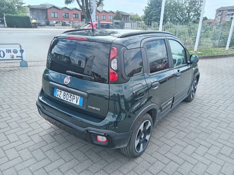 Fiat Panda Cross usata a Alessandria (6)
