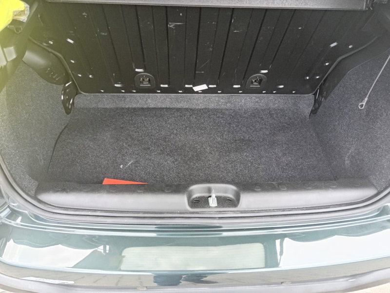 Fiat Panda Cross usata a Alessandria (7)