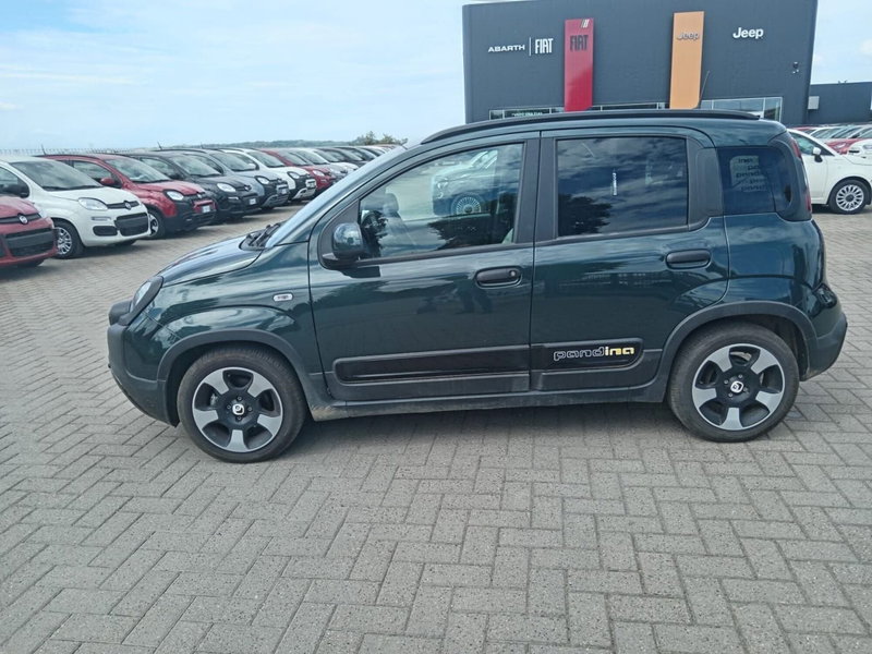 Fiat Panda Cross usata a Alessandria (9)