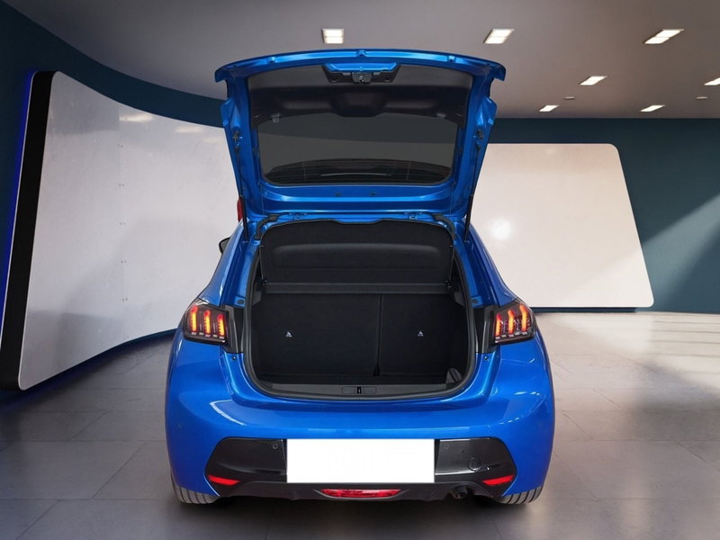 Peugeot 208 usata a Torino (8)