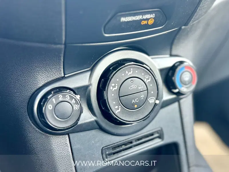 Ford Fiesta usata a Monza e Brianza (11)