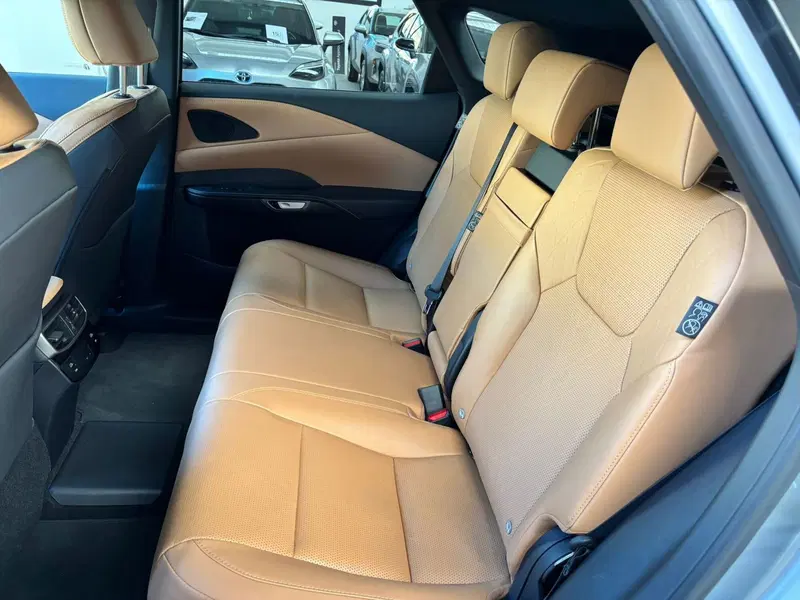 Lexus RX usata a Modena (13)
