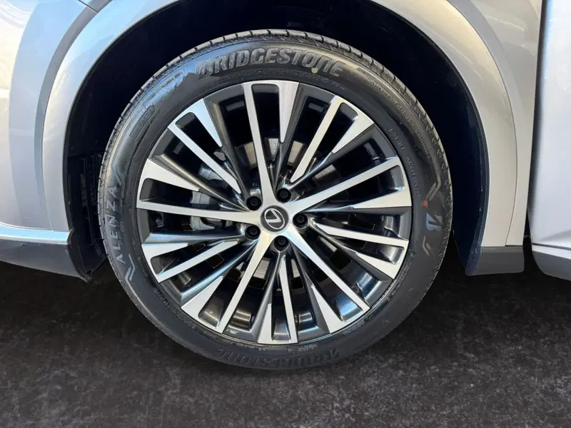 Lexus RX usata a Modena (14)