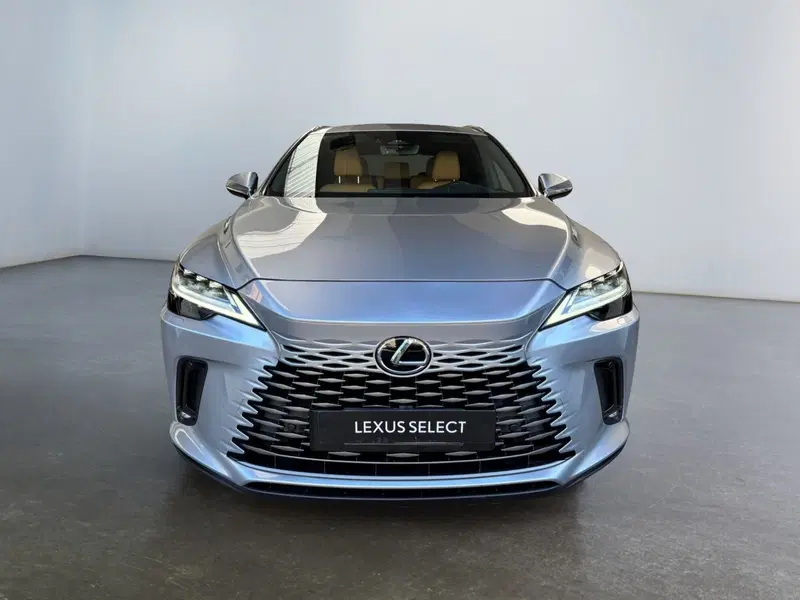 Lexus RX usata a Modena (2)