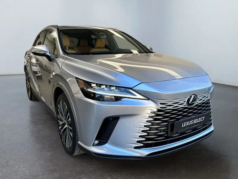 Lexus RX usata a Modena (3)