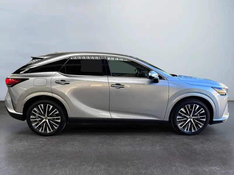 Lexus RX usata a Modena (4)